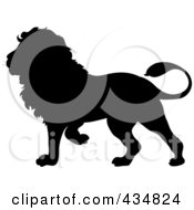 Poster, Art Print Of Black Lion Silhouette