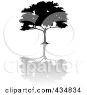 Poster, Art Print Of Black Silhouetted African Umbrella Thorn Tree With A Shadow