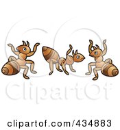 Royalty Free RF Clipart Illustration Of A Digital Collage Of Three Ants by Lal Perera