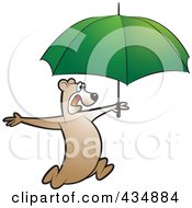 Poster, Art Print Of Bear Running With A Green Umbrella