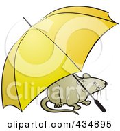 Poster, Art Print Of Tan Rat With An Umbrella