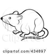 Royalty Free RF Clipart Illustration Of An Outlined Rat by Lal Perera