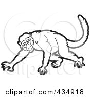Poster, Art Print Of Outlined Monkey - 2