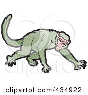 Poster, Art Print Of Green Monkey Crawling