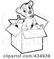 Poster, Art Print Of Outlined Puppy In A Cardboard Box