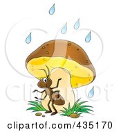 Poster, Art Print Of Cartoon Ant Using A Mushroom As Safety From The Rain