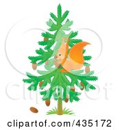 Poster, Art Print Of Wild Squirrel Gathering Pine Cones In A Tree