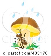 Poster, Art Print Of Ant Using A Mushroom As Safety From The Rain
