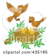 Poster, Art Print Of Birds Tending To Their Young