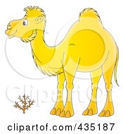Royalty Free RF Clipart Illustration Of A Cartoon Yellow Camel by Alex Bannykh