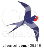 Poster, Art Print Of Blue Swallow Flying