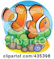 Poster, Art Print Of Logo Of A Marine Fish - 3