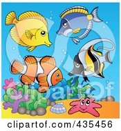 Royalty Free RF Clipart Illustration Of A Group Of Marine Fish And A Starfish