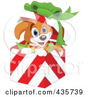Cute Christmas Puppy Popping Out Of A Gift Box