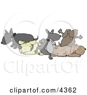 Poster, Art Print Of Group Of Five Dogs