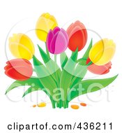 Poster, Art Print Of Colorful Tulip Plant