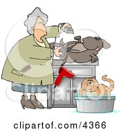 Female Pet Groomer Cutting And Trimming Dog Hair Clipart