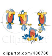 Poster, Art Print Of Silly Bird Hanging Upside Down On A Wire By His Friends