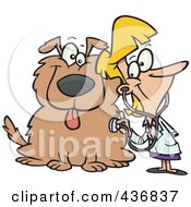 Female Vet Using A Stethoscope On A Dog