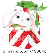 Poster, Art Print Of White Rabbit In A Red And White Striped Christmas Gift Box
