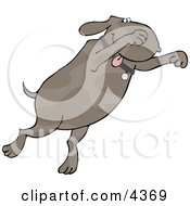 HappyExcited Dog Jumping Up Clipart