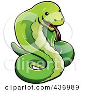 Poster, Art Print Of Green Cobra Snake