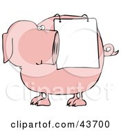 Poster, Art Print Of Pink Pig Looking Back At A Sign Draped On His Side