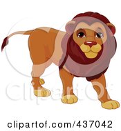 Poster, Art Print Of Cute Male Lion Walking