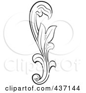 Royalty Free RF Clipart Illustration Of A Black And White Botanical Flourish Design Element 5 by pauloribau