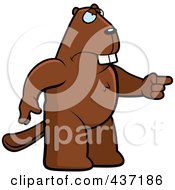Poster, Art Print Of Angry Beaver Standing And Pointing His Finger To The Right