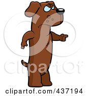 Angry Dachshund Standing And Pointing His Finger To The Right