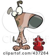 Poster, Art Print Of Dog Looking At An Undersized Fire Hydrant