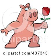 Poster, Art Print Of Romantic Pig Presenting A Single Rose
