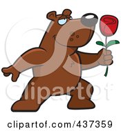 Poster, Art Print Of Romantic Bear Presenting A Single Rose