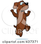 Royalty Free RF Clipart Illustration Of An Excited Dachshund Jumping