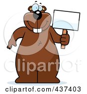 Poster, Art Print Of Happy Beaver Standing Upright And Holding A Blank Sign