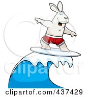 Poster, Art Print Of Surfing Rabbit
