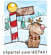 Poster, Art Print Of Rudolph Dog By A North Pole Sign