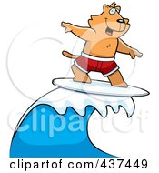 Poster, Art Print Of Surfing Cat
