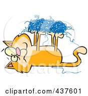 Poster, Art Print Of Orange Cat Tangled In String