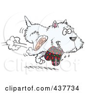 Poster, Art Print Of Cartoon Terrier Dog Stealing Slippers