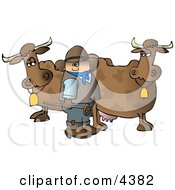 Poster, Art Print Of Cowboy Standing Beside Milk Cows With A Hot Branding Iron