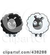 Poster, Art Print Of Black And White Sheep