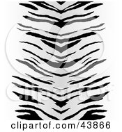 Poster, Art Print Of Background Of Black Zebra Stripes Centered On White