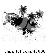 Poster, Art Print Of Zebra Head With Palm Trees And Black Grunge