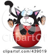 Poster, Art Print Of Cartoon Tuxedo Kitten On A Ball
