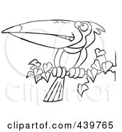 Royalty Free RF Clip Art Illustration Of A Cartoon Black And White Outline Design Of An Exotic Toucan Perched On A Branch