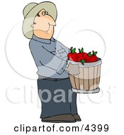 Cowboy Farmer Carrying A Pale Of Freshly Picked Red Apples Clipart