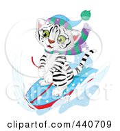 Poster, Art Print Of Cute White Tiger Sledding In The Snow