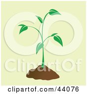 Clipart Illustration Of A Green Sprouting Plant With A Mound Of Dirt by Arena Creative